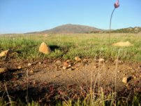 Viejas Mountain from Wright's field near powerful stone circle